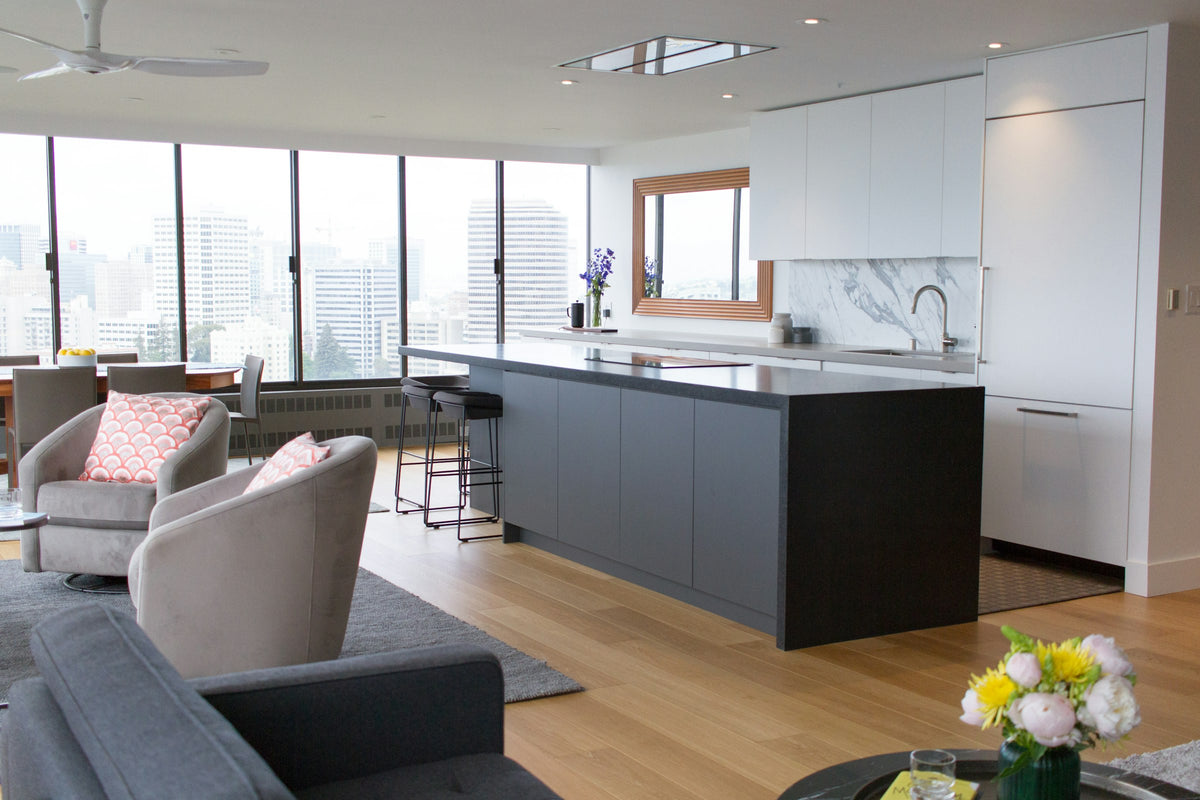 Open-plan living room and kitchen
